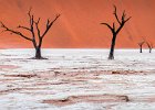 Richard Hall_Deadvlei Trees.jpg : Dead Trees, Deadvlei, Namibia
